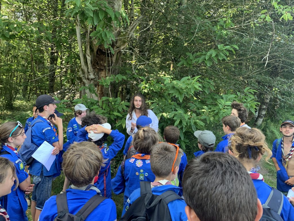 scouts